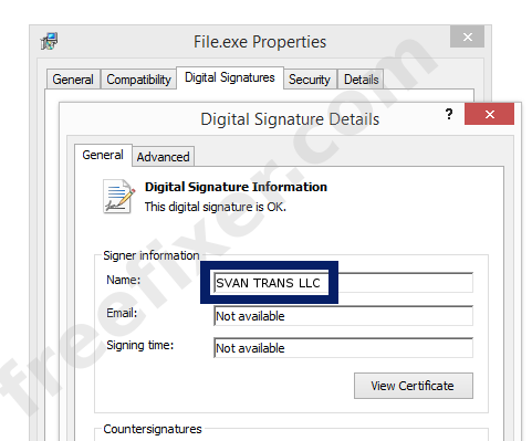 Screenshot of the SVAN TRANS LLC certificate